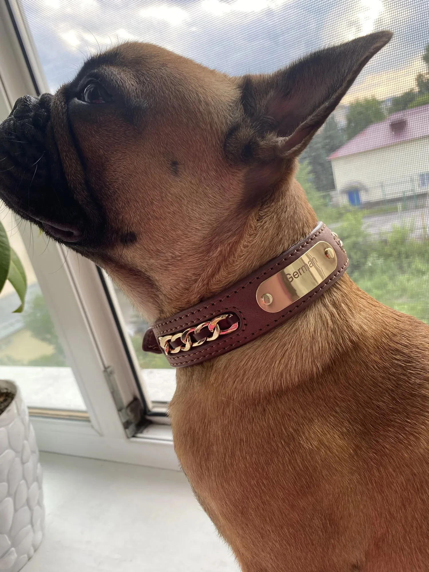 Collier Chien Personnalisé Cuir Punk photo review