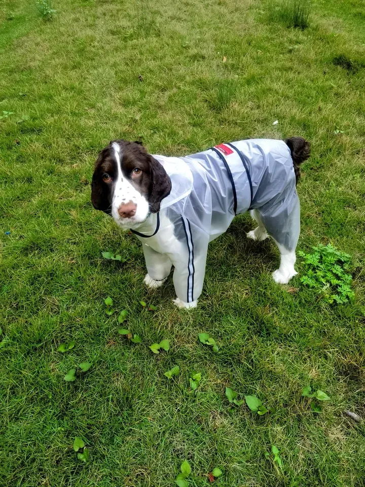 Imperméable Chien Under-Rain photo review