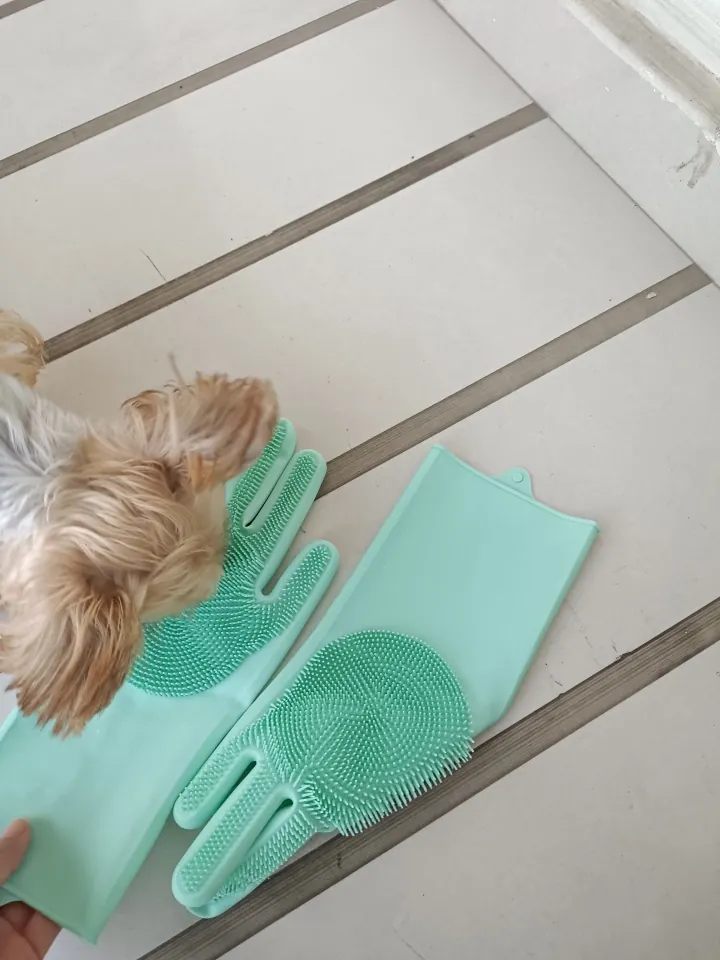 Gant Brosse Chien Masaj photo review