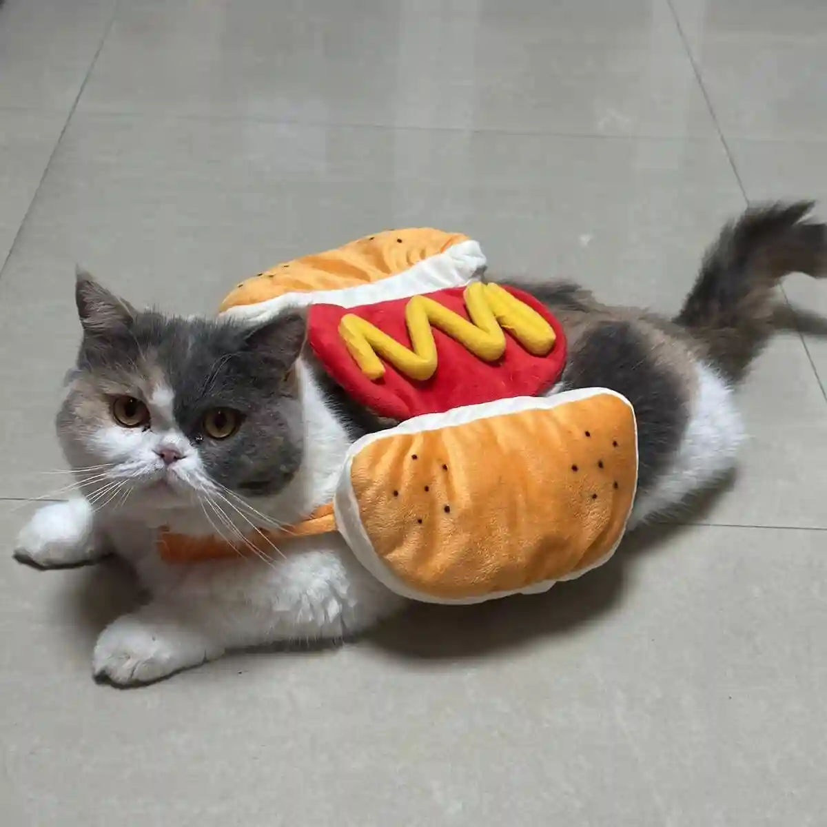 Déguisement Pour Chat Hotdog photo review