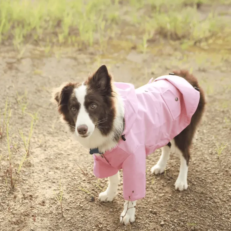 Manteau Chien Imperméable Gentle-Pet photo review