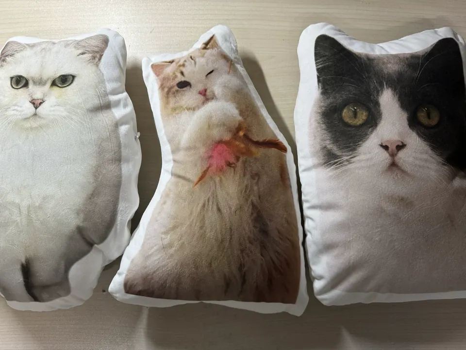 Coussin Personnalisé Photo Chat photo review