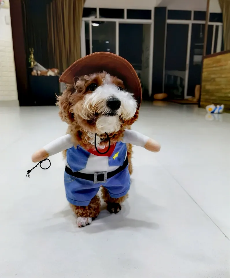 Déguisement de Cowboy Combinaison Chien avec Chapeau photo review