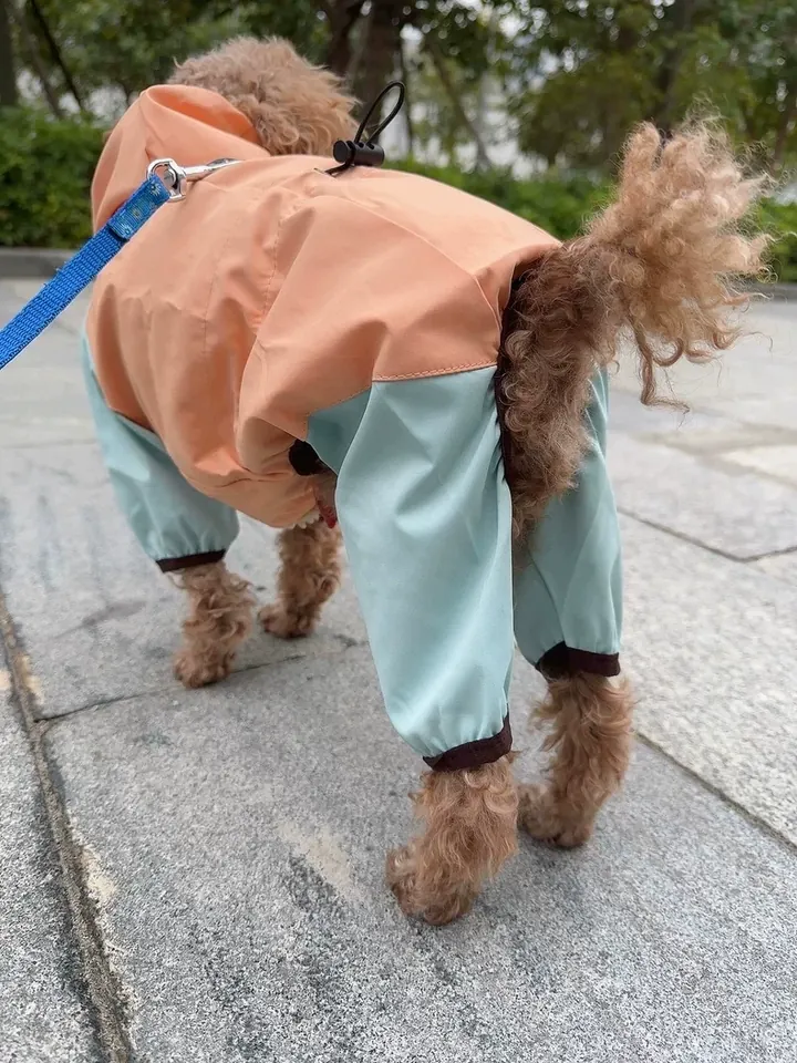 Imperméable Pour Chien Andare photo review