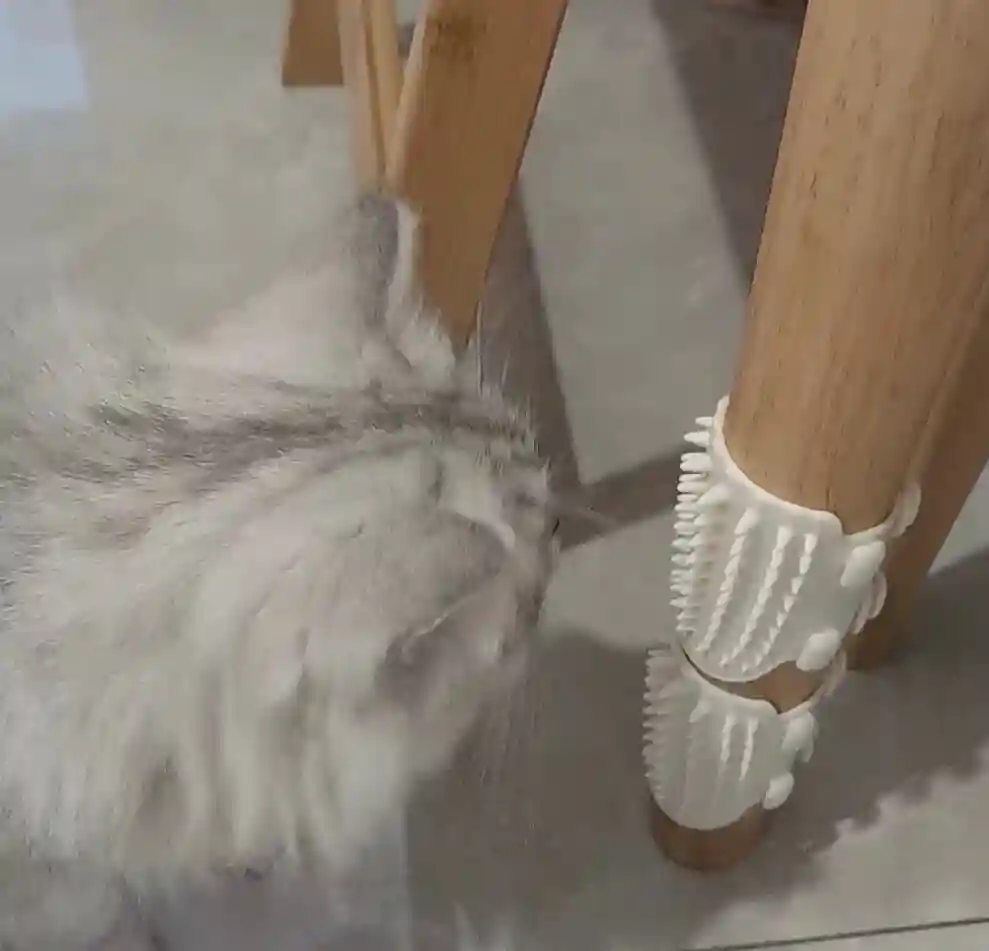 Brosse Pour Chat Massage Autonome photo review