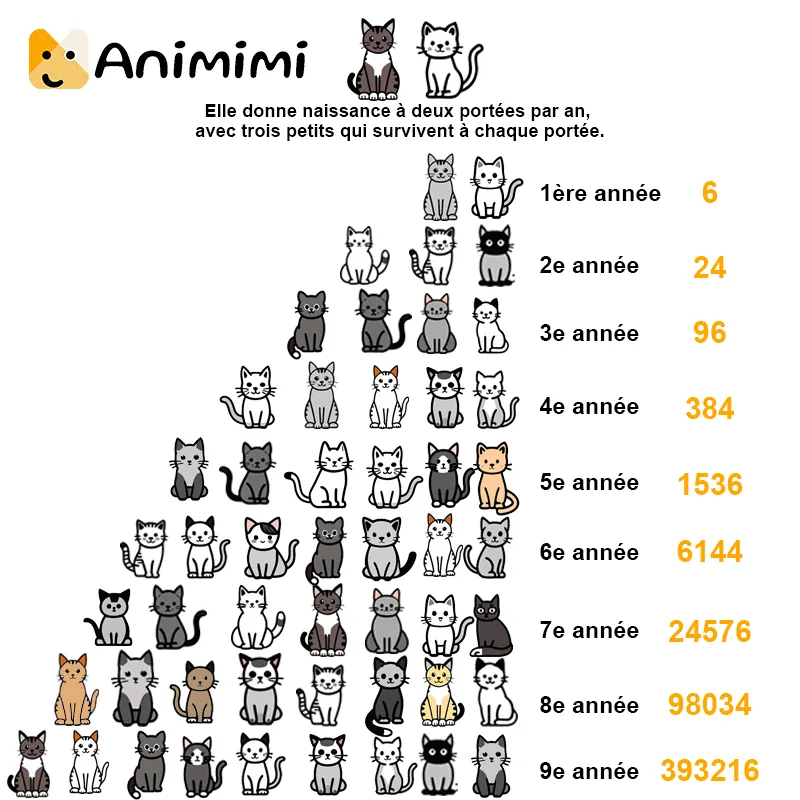 Les données sur la capacité de reproduction des chats