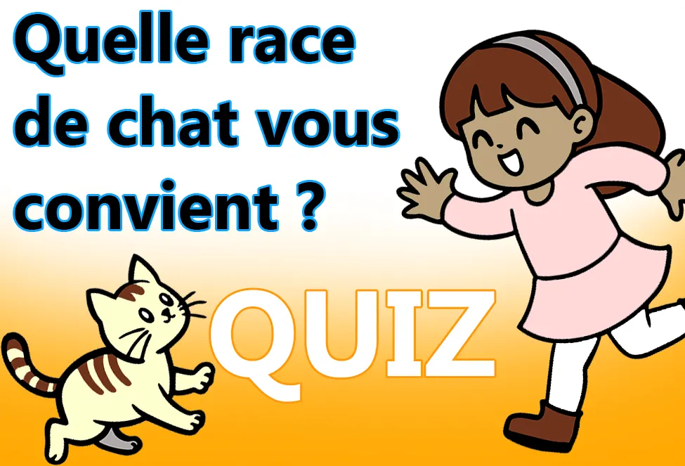 test pour savoir quelle race de chat cous vonvient