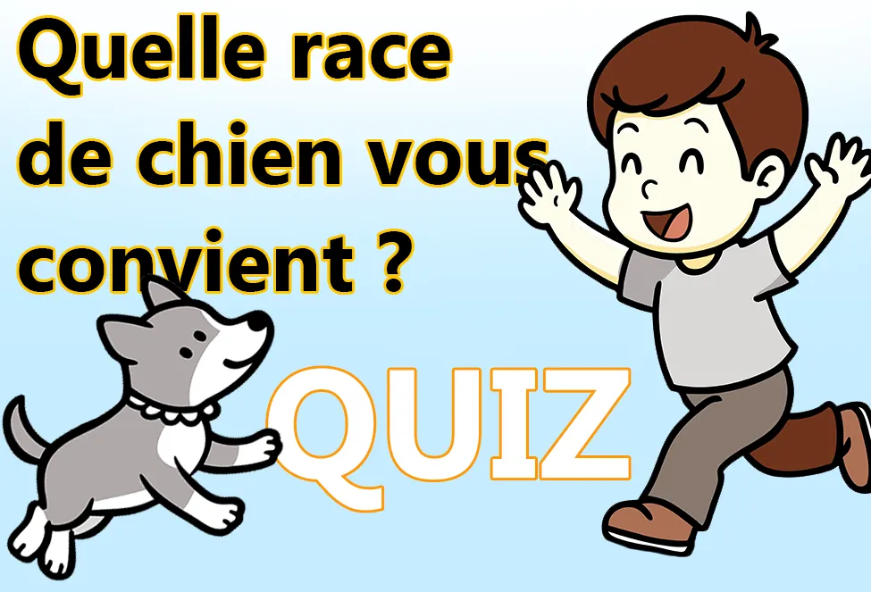 test pour savoir quelle race de chien pour vous convient