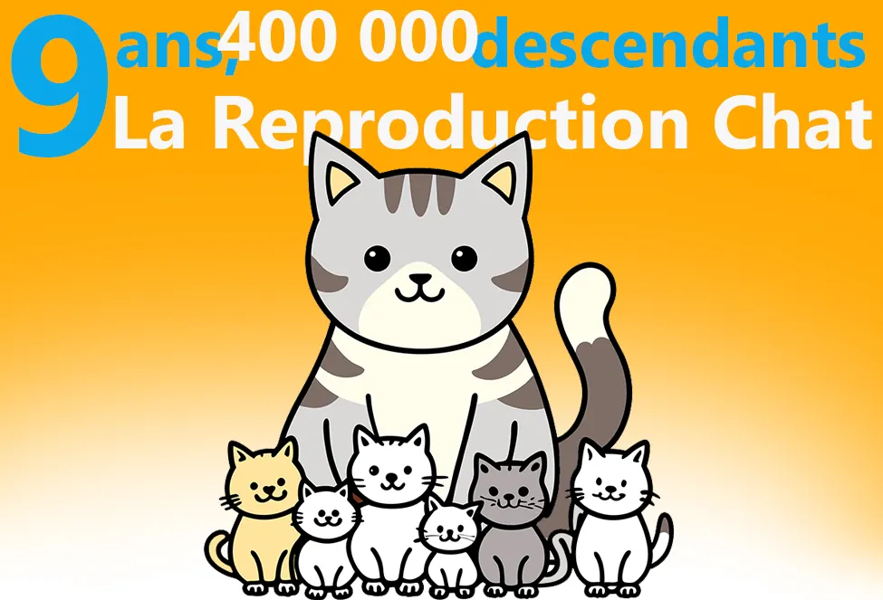 La capacité de reproduction des chats et leur forte fertilité