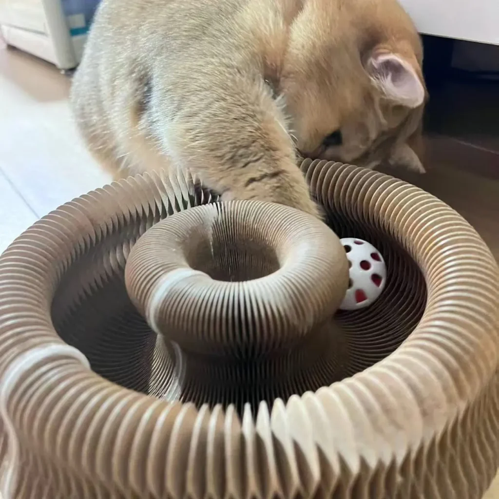 Un chat jouant joyeusement avec un griffoir élastique