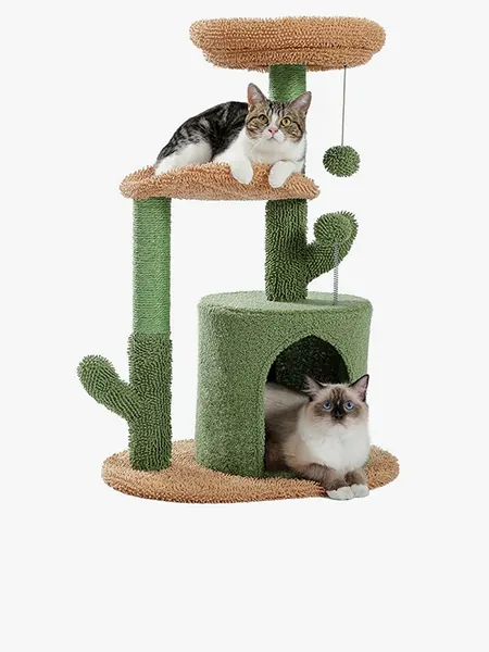 2 chats heureux sur un arbre à chat en forme de cactus.