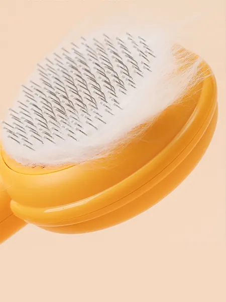 Une Brosse Pour Chat Magi orange, à la fois jolie et pratique