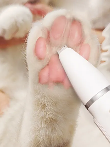 Tondre les poils des pattes d’un chat avec le Set Tondeuse Pour Chat À 4 Lames Bello