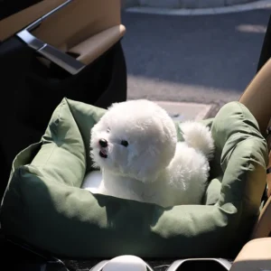 Un chien Teddy heureux dans un panier de voiture de couleur kaki