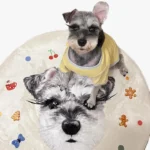 tapis personnalise pour chien en schnauzer photo