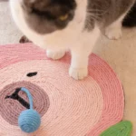 Un chat noir et blanc joue sur un tapis pour chat en forme de pêche rose.