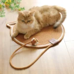 Chat orange allongé sur un tapis pour chat orange