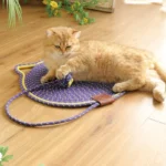 Chat orange allongé sur un tapis pour chat violet en jouant avec une balle