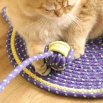 Chat orange allongé sur un tapis pour chat violet en jouant avec une balle