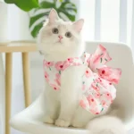 Déguisement de princesse pour chat, modèle Ragdoll, adorable et élégant.