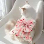 Gros plan sur le dos d'une Ragdoll portant une robe de princesse rose.