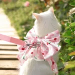 Laisse pour chat assortie à un déguisement de princesse rose, idéale pour les promenades élégantes.