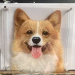 Portrait personnalisé en 3D d'un Corgi, réalisé à la main avec des détails réalistes.