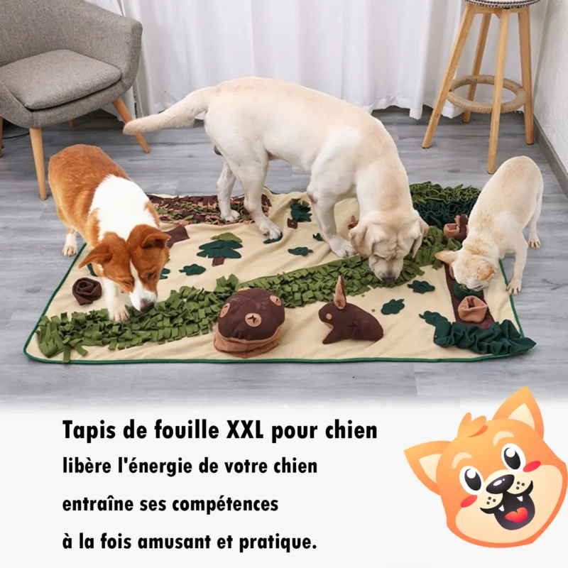 Un Corgi et Un labrador et un bulldog français jouant sur un tapis de fouille XXL pour chien.