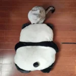 Coussin Pour Chat Panda photo review
