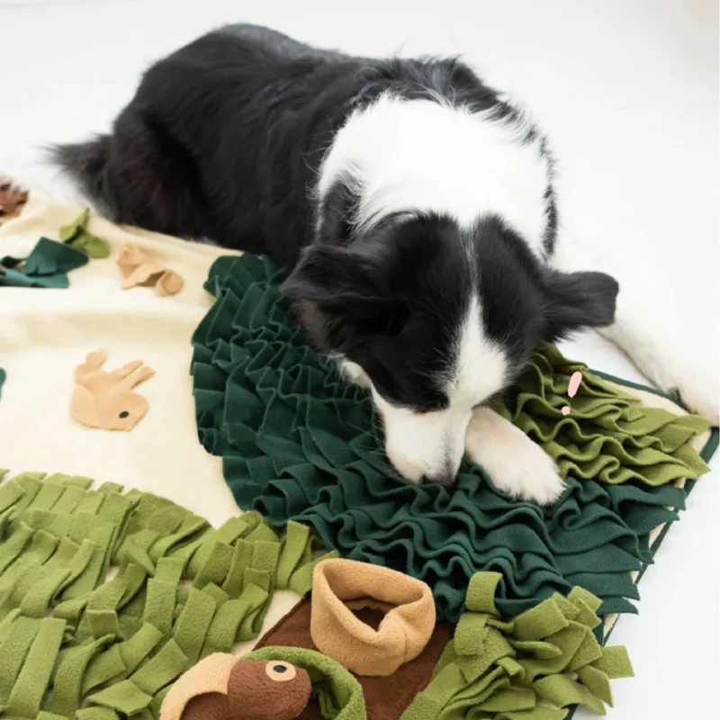 Un border collie en train de fouiller et de sentir un tapis de fouille pour chien.