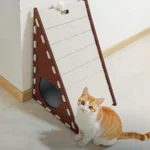Un petit chat roux joue avec un griffoir pour chat