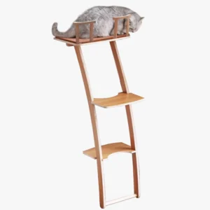 Un British Shorthair joue sur l’arbre à chat en forme d’escalier