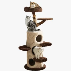 Trois chats s’amusent sur un arbre à chat haut de gamme