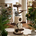 Arbre à chat haut de gamme avec trois niches