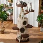 Arbre à chat haut de gamme avec trois niches