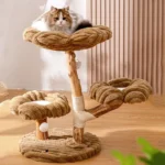 Un chat ragdoll dans la niche de l’arbre à chat haut de gamme