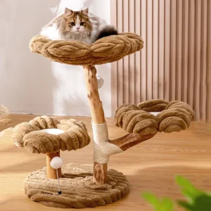Un chat ragdoll dans la niche de l’arbre à chat haut de gamme