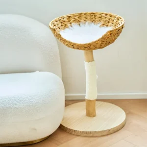 Arbre à chat haut de gamme en osier pour chat