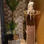 Arbre à chat idéal pour les chats actifs et joueurs