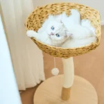 Un chat blanc joue dans un arbre à chat en osier