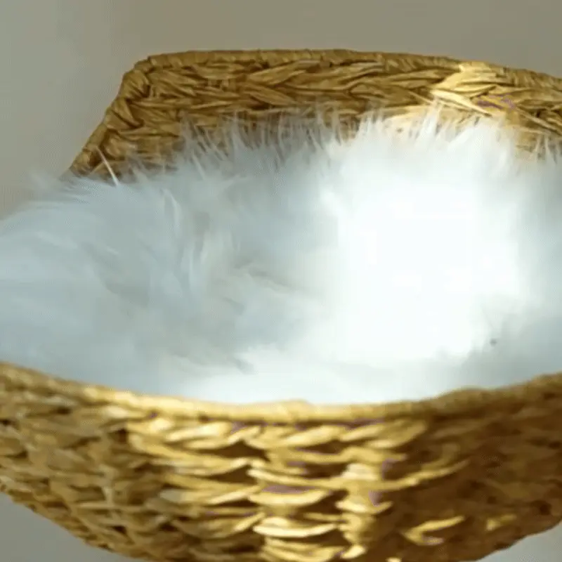 <p style="font-weight: 400;">Cet arbre à chat bois flotté transforme votre salon en un terrain d’aventure félin avec son inspiration de souffle libre. Son design organique épouse les instinctifs profonds de vos miaous, créant équilibre idéal entre bien-être, jeu et repos.</p> <p style="font-weight: 400;"><span style="font-weight: 400;">Chaque détail de cet arbre à chat en bois compose un écosystème miniature empreint d’élégance : les troncs en camphrier aux courbes naturelles, entourés de cordes à griffer, offrent une parfaite harmonie entre nature brute et plaisir félin ; les plateforme imbriquées, surmontées de paniers en résine tressée, accueillent les chats jusqu’à 10 kg chacun, pour des siestes perchées en toute sécurité. La niche inférieure en bois de pin est solidement ancrée sur le socle épais. Sa forme du palais royale crée un espace stable et bien ventilé, idéal pour les pauses au calme. </span></p> <p style="font-weight: 400;"><span style="font-weight: 400;">Son allure scandinave, son confort étudié et son utilisation durable en font une pièce aussi chic que fonctionnel, pensée pour sublimer votre intérieur tout en comblant vos miaous. </span></p> <p style="font-weight: 400;">Avantage:</p> <ul style="font-weight: 400;"> <li>Cet arbre à chat en bois flotté évoque l’appel sauvage de la forêt, transformant votre intérieur en une oasis naturelle où l’élégance naturelle rencontre l’instinct félin.</li> <li>Son architecture à niveau imbriqués, avec deux paniers suspendus et une niche aérée, recrée un microcosme parfait pour les foyers multi-chats : poste d’observation en hauteur, détente zen, grimpe et saut acrobatiques.</li> <li>Ses troncs en camphrier massif, soigneusement sélectionnés en diamètre de 5,5 à 8 cm, allient robustesse inégalée et esthétique boisée, apportant une touche de design scandinave de haute de gamme.</li> <li>Sa base en pin, l’ensemble de la cabane aérée et le socle épais de 17mm, est livré pré-monté pour une stabilité inébranlable même lors des cabrioles les plus folles de vos miaous.</li> <li>Son traitement à la cire végétale offre une finition lisse et un entretien simple, sans risque d’accrochage des poils ou d’accidents brisure lors des grimpes de vos chats.</li> <li>Les deux enroulements de corde en fibre de carton, spécialement traitée par séchage, apportent une texture douce et résistante à l’humidité, parfaite pour les séances de griffage tout en préservant vos meubles.</li> <li>Les paniers en résine tressée intègrent des armatures métalliques à l’intérieur, créant une grande capacité pour accueillir chacun un félin XXL jusqu’à 10 kg, y compris le Maine Coon.</li> <li>Les coussins double face thermo-régulant (peluche hivernale/daim estival) sont amovibles pour un confort sur mesure selon les saisons.</li> </ul> <p style="font-weight: 400;">[custom_combined_shortcode title=" Matériau" id="62872"][custom_combined_shortcode title=" Guide de tailles" id="62873"] [cg_accordion title="Livraison"] La livraison s’effectuera dans un délai de 7 à 28 jours ouvrables dès la validation de votre commande. <span lang="FR"> </span>[/cg_accordion][cg_accordion title="Retour"] Si, pour quelque raison que ce soit, vous n'êtes pas pleinement satisfait, une demande de retour serait possible dans les 14 jours suivant la réception. [/cg_accordion]</p>