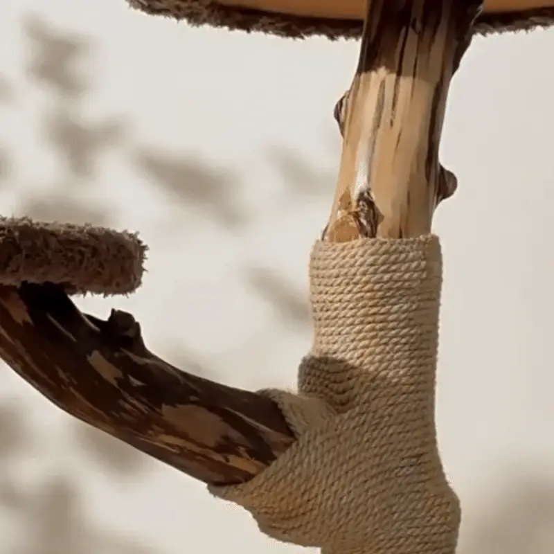 <p style="font-weight: 400;">Cet arbre à chat en bois massif offre à vos miaous un terrain de jeu digne de leurs instincts sauvages. Son architecture verticale intelligente libère l’espace au sol tout en créant une stimulation féline à 360°, parfaitement adaptée aux foyers multi-chats et aux races imposantes.</p> <p style="font-weight: 400;"><span style="font-weight: 400;">Son design allie ergonomie et stabilité exceptionnelle, avec 5 plateformes et 3 niches stratégiquement positionnées, satisfaisant tous les âges, du jeune chaton au senior le plus exigeant. Chaque niveau répond à leurs comportements les plus variés, y compris les plus énergiques et folles. </span></p> <p style="font-weight: 400;"><span style="font-weight: 400;">Entre postes d’observation aériens, cachettes douillettes, zones de griffage intégrées et sautes joyeuses, cet arbre à chat bois flotté allie parfaitement fonctionnalité et design contemporain, apportant une élégance chic à votre intérieur où les reflets du bois flotté épousent la lumière naturelle. </span></p> <p style="font-weight: 400;">Avantage:</p> <ul style="font-weight: 400;"> <li>Ce grand arbre à chat en bois flotté réveille l’appel de la forêt de votre miaou, stimulant ses instincts, des athlètes Siamois aux Maine Coon les plus importants.</li> <li>Son architecture à étages, comprenant 5 plateformes tactiques et 3 niches privatives, recrée un écosystème complet : chasse aérienne, retraites discrètes, détentes zen et sauts stratégiques entre niveaux, formant ainsi un paradis idéal pour les foyers multi-chats.</li> <li>Sa base extra-solide avec un diamètre de 48 cm et une épaisseur de 3 cm assure une stabilité inébranlable capable de résister aux cascades les plus folles, tout en conservant une empreinte au sol minimaliste de seulement 0,18m², parfait pour les espaces urbains.</li> <li>Les branches en bois massif, traitées avec une finition lisse et sculptées à la main, allient un toucher soyeux et sécurisé à une véritable valeur décorative pour votre intérieur.</li> <li>Ses configurations ergonomiques s’adaptent à chaque étape de vie, depuis les espiègleries du jeune chaton jusqu’aux besoins plus calmes des seniors.</li> <li>La suite royale, divisée en 3 pièces indépendantes, est généreusement capitonnée de mousse et enveloppée de peluche épaisse, offrant des espaces spacieux spécialement conçus pour accueillir les races géantes comme le Maine Coon, le Ragdoll ou le Norvégien.</li> <li>Le tronc central et la branche latérale, enroulée de corde de jute naturelle, constituent des studios de manucure parfaits pour les griffes de vos miaous, préservant à la fois votre mobilier et leur bien-être, surtout pendant vos absences.</li> </ul> <p style="font-weight: 400;">[custom_combined_shortcode title=" Matériau" id="62832"][custom_combined_shortcode title=" Guide de tailles" id="62823"] [cg_accordion title="Livraison"] La livraison de cet arbre à chat en bois massif s’effectuera dans un délai de 7 à 28 jours ouvrables dès la validation de votre commande. <span lang="FR"> </span>[/cg_accordion][cg_accordion title="Retour"] Si, pour quelque raison que ce soit, vous n'êtes pas pleinement satisfait, une demande de retour serait possible dans les 14 jours suivant la réception. [/cg_accordion]</p>