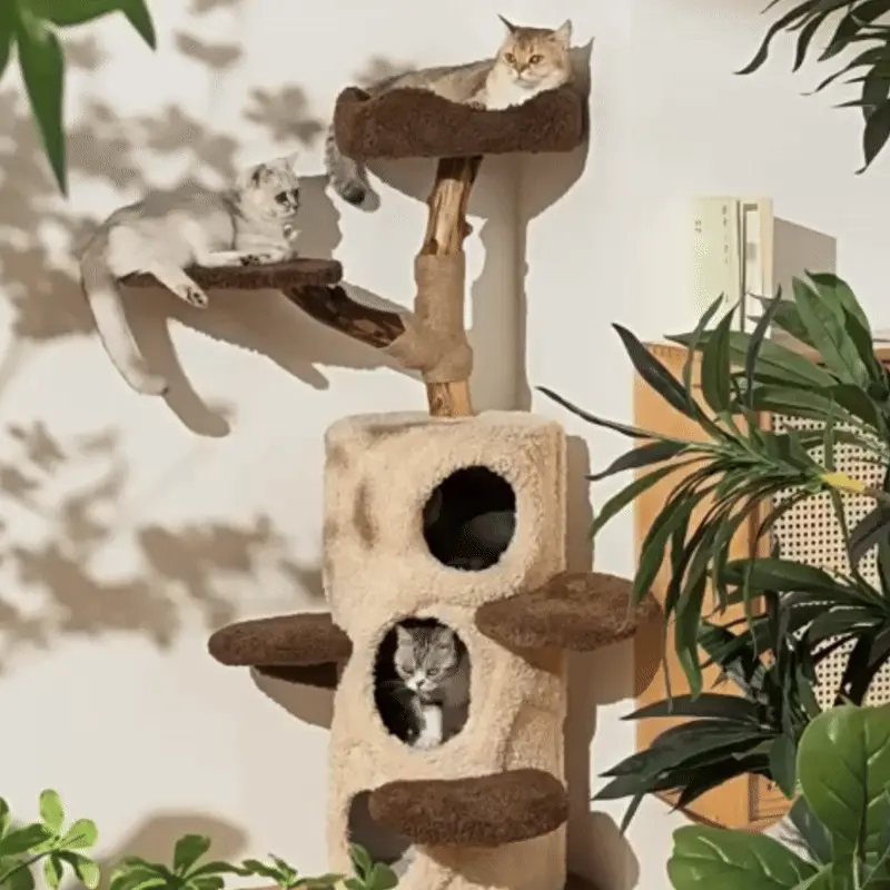 <p style="font-weight: 400;">Cet arbre à chat en bois massif offre à vos miaous un terrain de jeu digne de leurs instincts sauvages. Son architecture verticale intelligente libère l’espace au sol tout en créant une stimulation féline à 360°, parfaitement adaptée aux foyers multi-chats et aux races imposantes.</p> <p style="font-weight: 400;"><span style="font-weight: 400;">Son design allie ergonomie et stabilité exceptionnelle, avec 5 plateformes et 3 niches stratégiquement positionnées, satisfaisant tous les âges, du jeune chaton au senior le plus exigeant. Chaque niveau répond à leurs comportements les plus variés, y compris les plus énergiques et folles. </span></p> <p style="font-weight: 400;"><span style="font-weight: 400;">Entre postes d’observation aériens, cachettes douillettes, zones de griffage intégrées et sautes joyeuses, cet arbre à chat bois flotté allie parfaitement fonctionnalité et design contemporain, apportant une élégance chic à votre intérieur où les reflets du bois flotté épousent la lumière naturelle. </span></p> <p style="font-weight: 400;">Avantage:</p> <ul style="font-weight: 400;"> <li>Ce grand arbre à chat en bois flotté réveille l’appel de la forêt de votre miaou, stimulant ses instincts, des athlètes Siamois aux Maine Coon les plus importants.</li> <li>Son architecture à étages, comprenant 5 plateformes tactiques et 3 niches privatives, recrée un écosystème complet : chasse aérienne, retraites discrètes, détentes zen et sauts stratégiques entre niveaux, formant ainsi un paradis idéal pour les foyers multi-chats.</li> <li>Sa base extra-solide avec un diamètre de 48 cm et une épaisseur de 3 cm assure une stabilité inébranlable capable de résister aux cascades les plus folles, tout en conservant une empreinte au sol minimaliste de seulement 0,18m², parfait pour les espaces urbains.</li> <li>Les branches en bois massif, traitées avec une finition lisse et sculptées à la main, allient un toucher soyeux et sécurisé à une véritable valeur décorative pour votre intérieur.</li> <li>Ses configurations ergonomiques s’adaptent à chaque étape de vie, depuis les espiègleries du jeune chaton jusqu’aux besoins plus calmes des seniors.</li> <li>La suite royale, divisée en 3 pièces indépendantes, est généreusement capitonnée de mousse et enveloppée de peluche épaisse, offrant des espaces spacieux spécialement conçus pour accueillir les races géantes comme le Maine Coon, le Ragdoll ou le Norvégien.</li> <li>Le tronc central et la branche latérale, enroulée de corde de jute naturelle, constituent des studios de manucure parfaits pour les griffes de vos miaous, préservant à la fois votre mobilier et leur bien-être, surtout pendant vos absences.</li> </ul> <p style="font-weight: 400;">[custom_combined_shortcode title=" Matériau" id="62832"][custom_combined_shortcode title=" Guide de tailles" id="62823"] [cg_accordion title="Livraison"] La livraison de cet arbre à chat en bois massif s’effectuera dans un délai de 7 à 28 jours ouvrables dès la validation de votre commande. <span lang="FR"> </span>[/cg_accordion][cg_accordion title="Retour"] Si, pour quelque raison que ce soit, vous n'êtes pas pleinement satisfait, une demande de retour serait possible dans les 14 jours suivant la réception. [/cg_accordion]</p>
