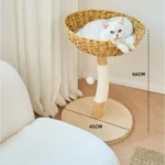 Arbre à chat préféré du chat blanc