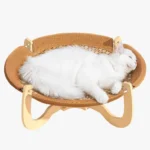 Un chat blanc dort confortablement dans le panier en rotin.