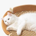 Un chat blanc heureux dans le panier hamac en rotin.