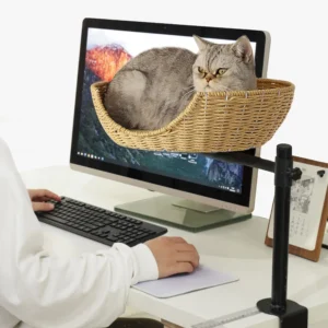 Un chat dort dans un panier suspendu à côté de l'ordinateur de son maître