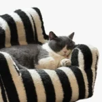 Un chat noir et blanc dort sur le canapé bicolore.