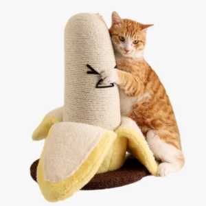 Poteau Griffoir Chat Banane