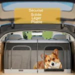 Un corgi installé dans une cage pliable pour animal.